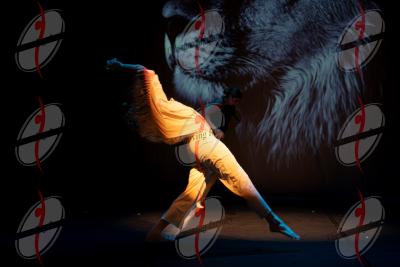 SHOW_02360.jpg